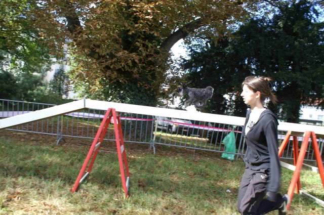 foire-haricots 2011-09-17et18